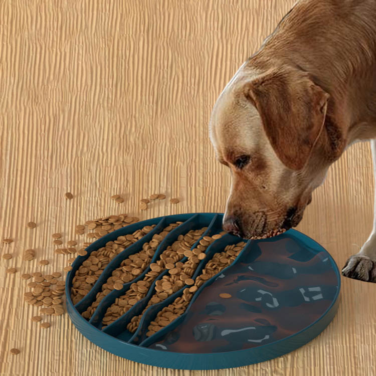 dog water and food bowl